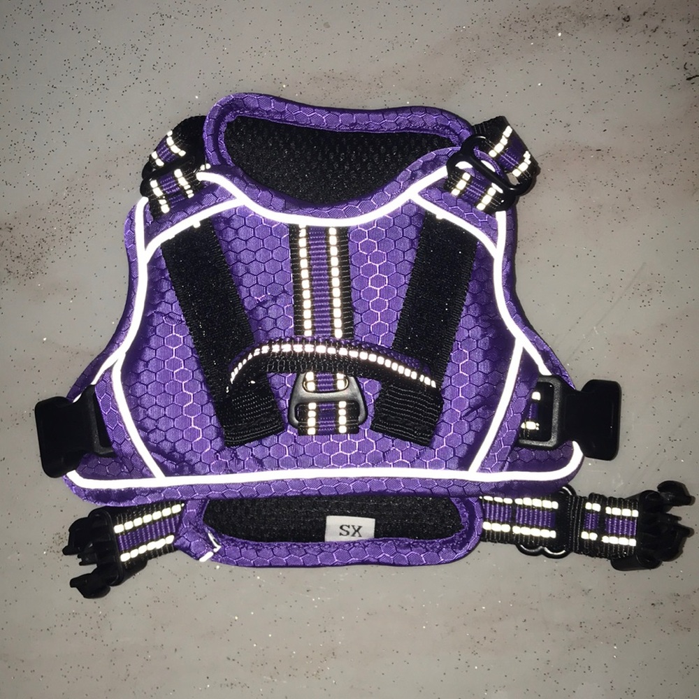 XS Dog Harness